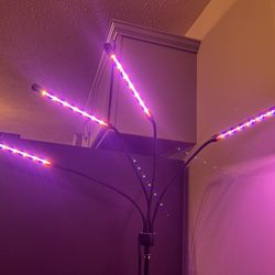 Plant Grow Light