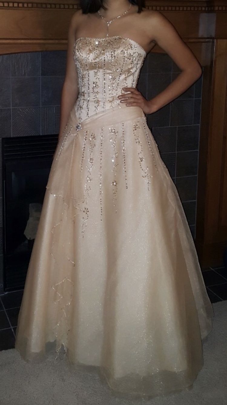 Beautiful champagne dress size 2