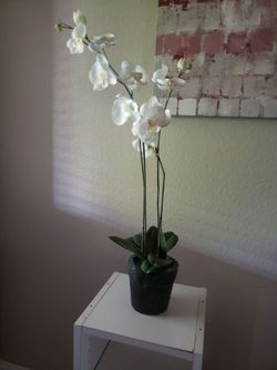 Flower plant (fake)