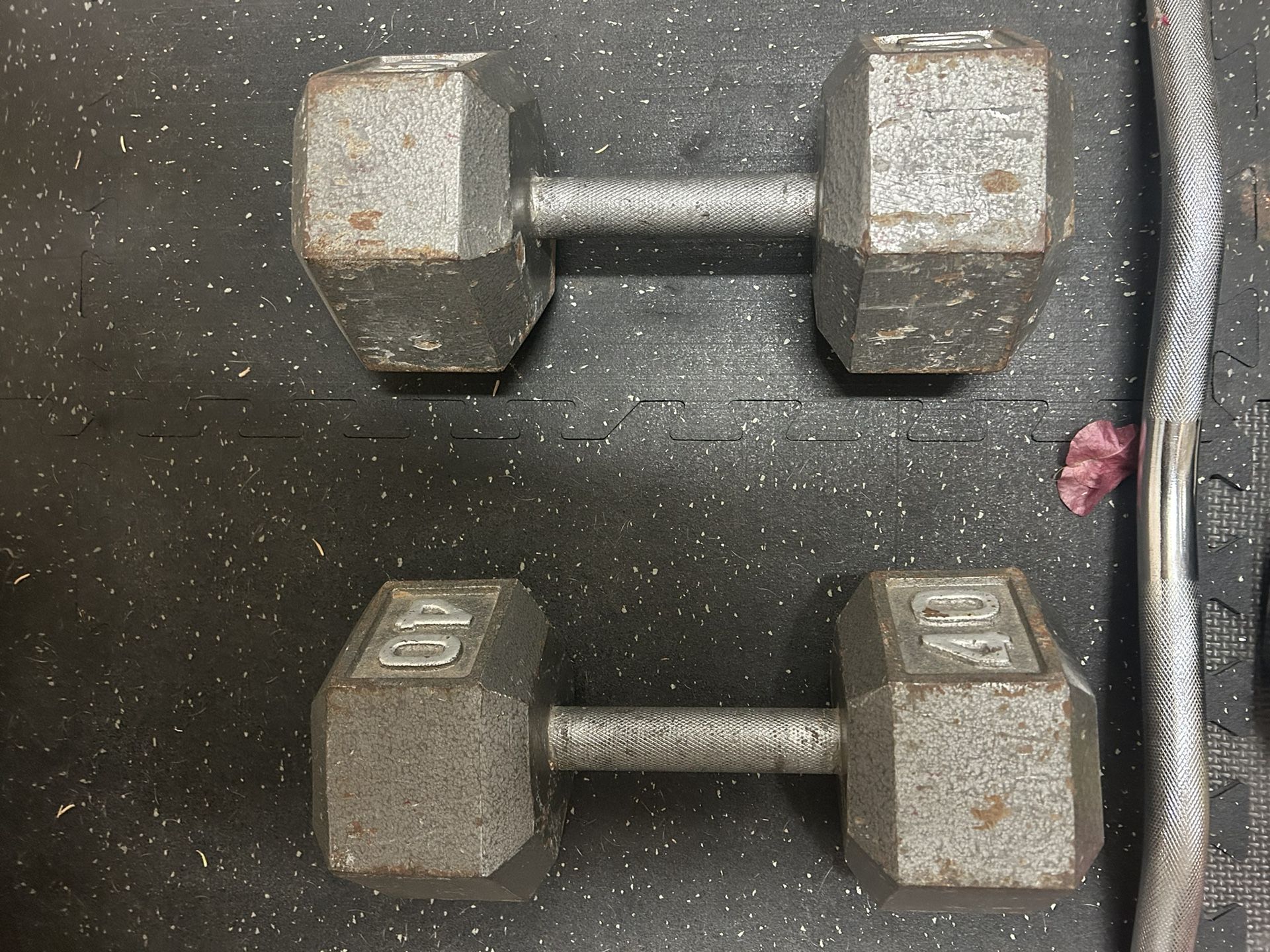 40 Lb Dumbbell