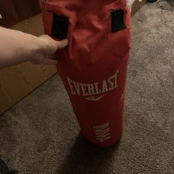 Everlast MMA Punching Bag