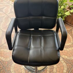 Beauty Salon Chair