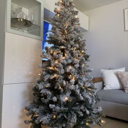 Pino De Navidad 7”1/2
