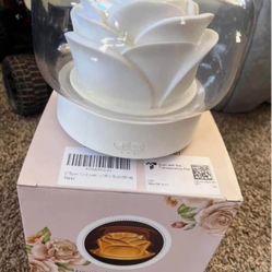 Oil Diffuser