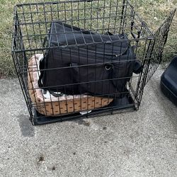 cat carrier and cage 