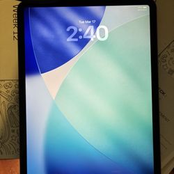 iPad Pro 11 Inch 1st Gen WiFi And Cellular 