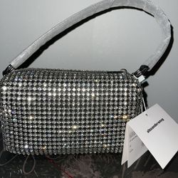 Alexander Wang Heiress Pouch in Crystal Mesh