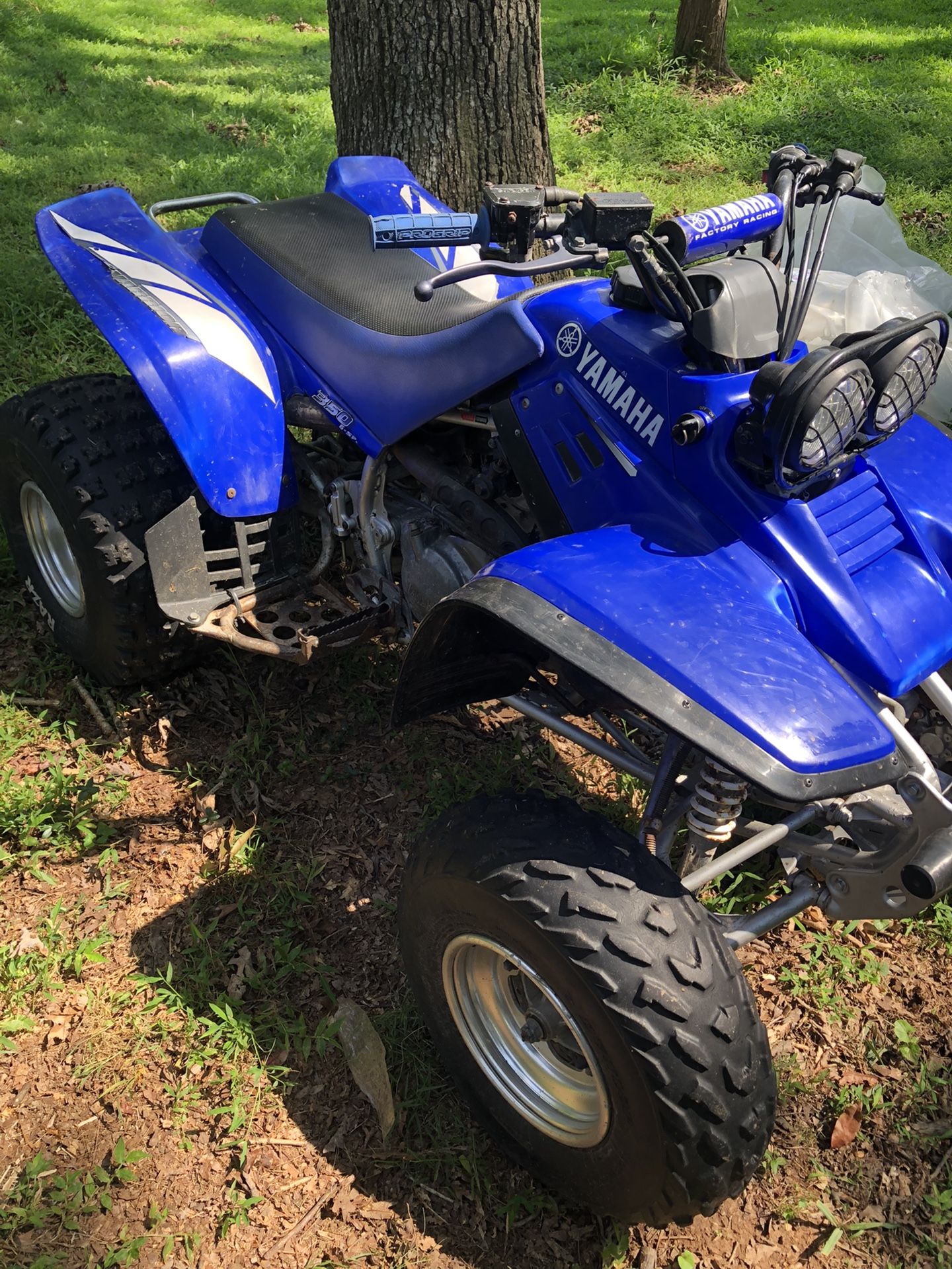 2004 yamaha warrior