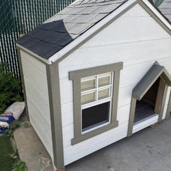 Dog House 
