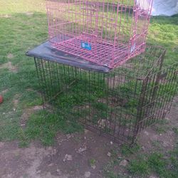 Animal Cages