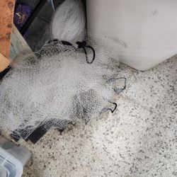 Cast Net Brill
