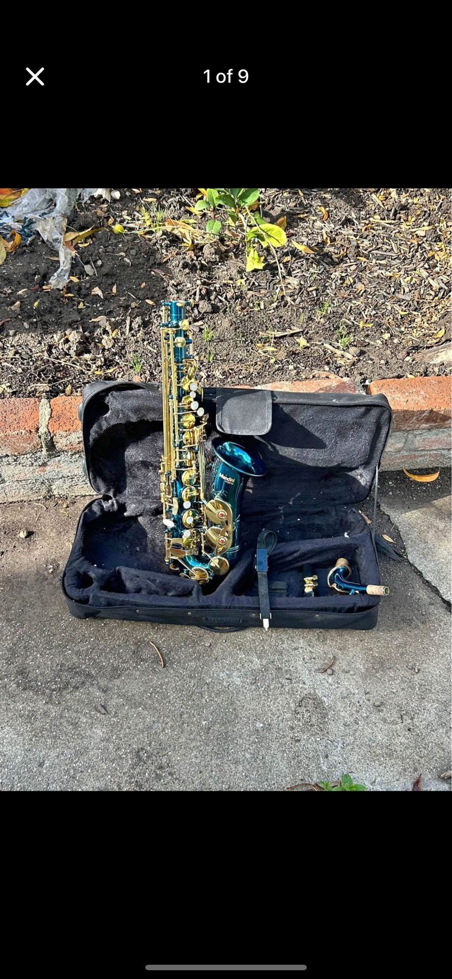 Beautiful 😻 alto saxophone 🎷
