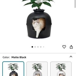 Secret Litter Box