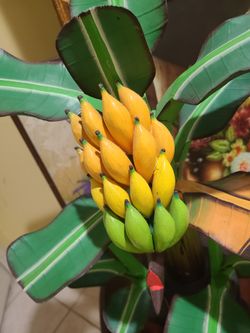 Adorno De Madera De Bananos