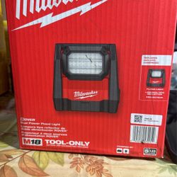 Dual Power Flood Light 