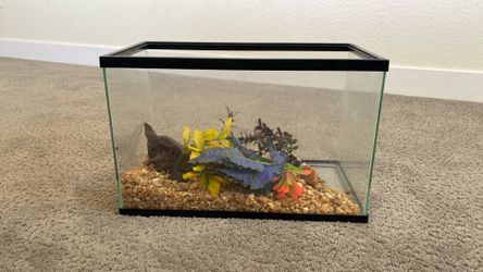 Small fish tank with water filter