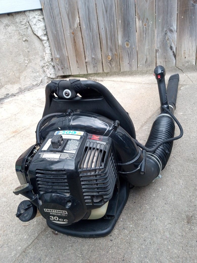 Craftsman 30cc BackPack Blower (205 MPH Airspeed)