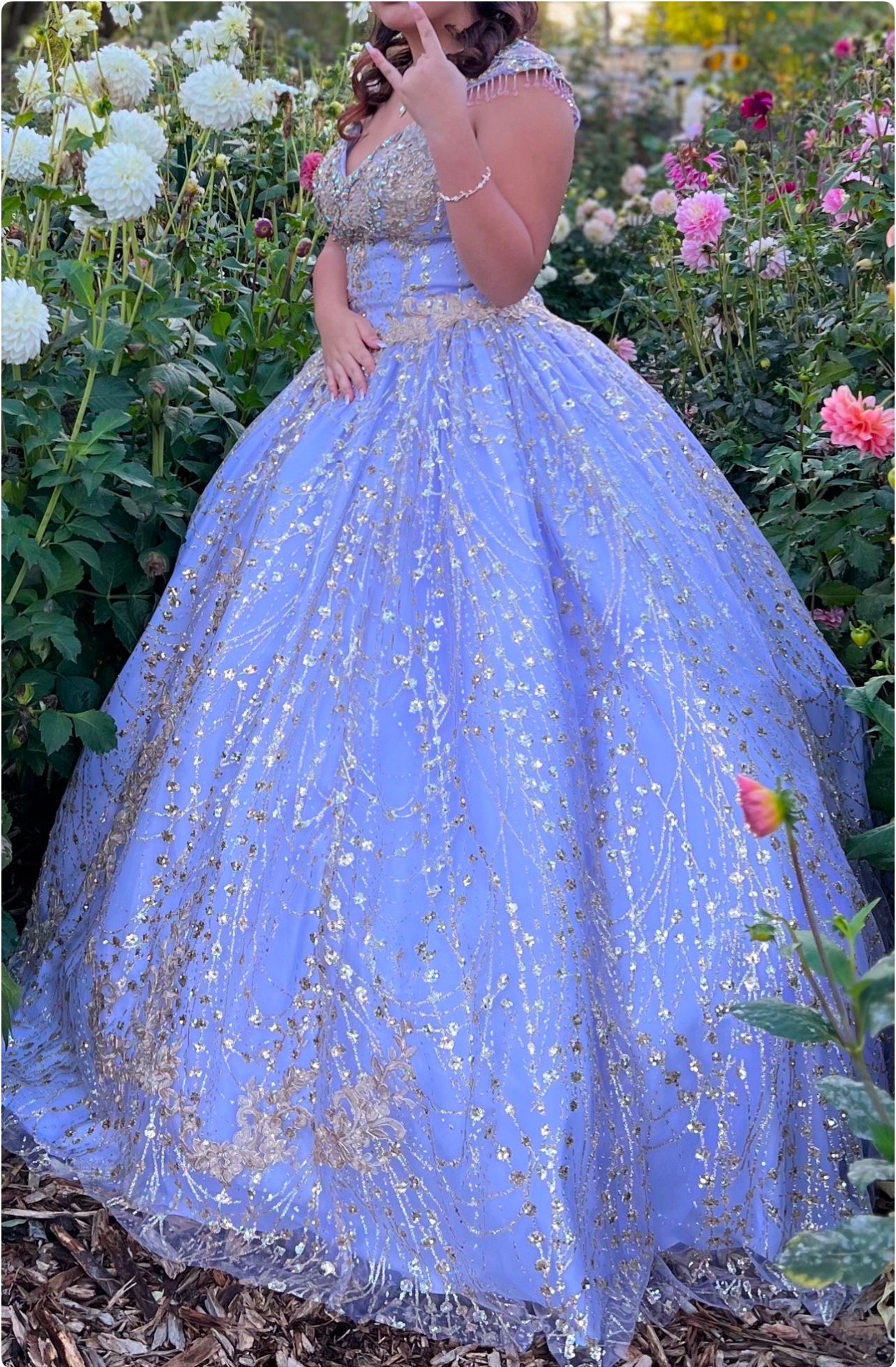 QuinceaƱera Dress