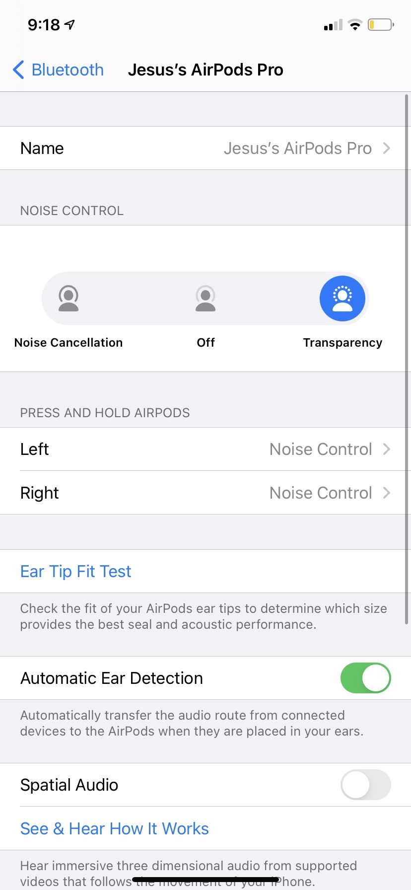 AirPods Pro