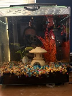 Fish tank