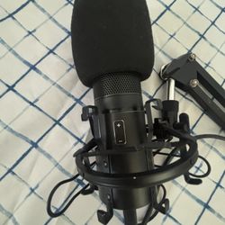 Microphone With Stand 