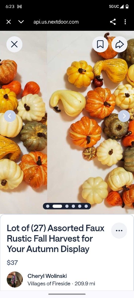 30 Rustic Grubs 