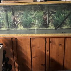 Giant Fish Tank For Sale