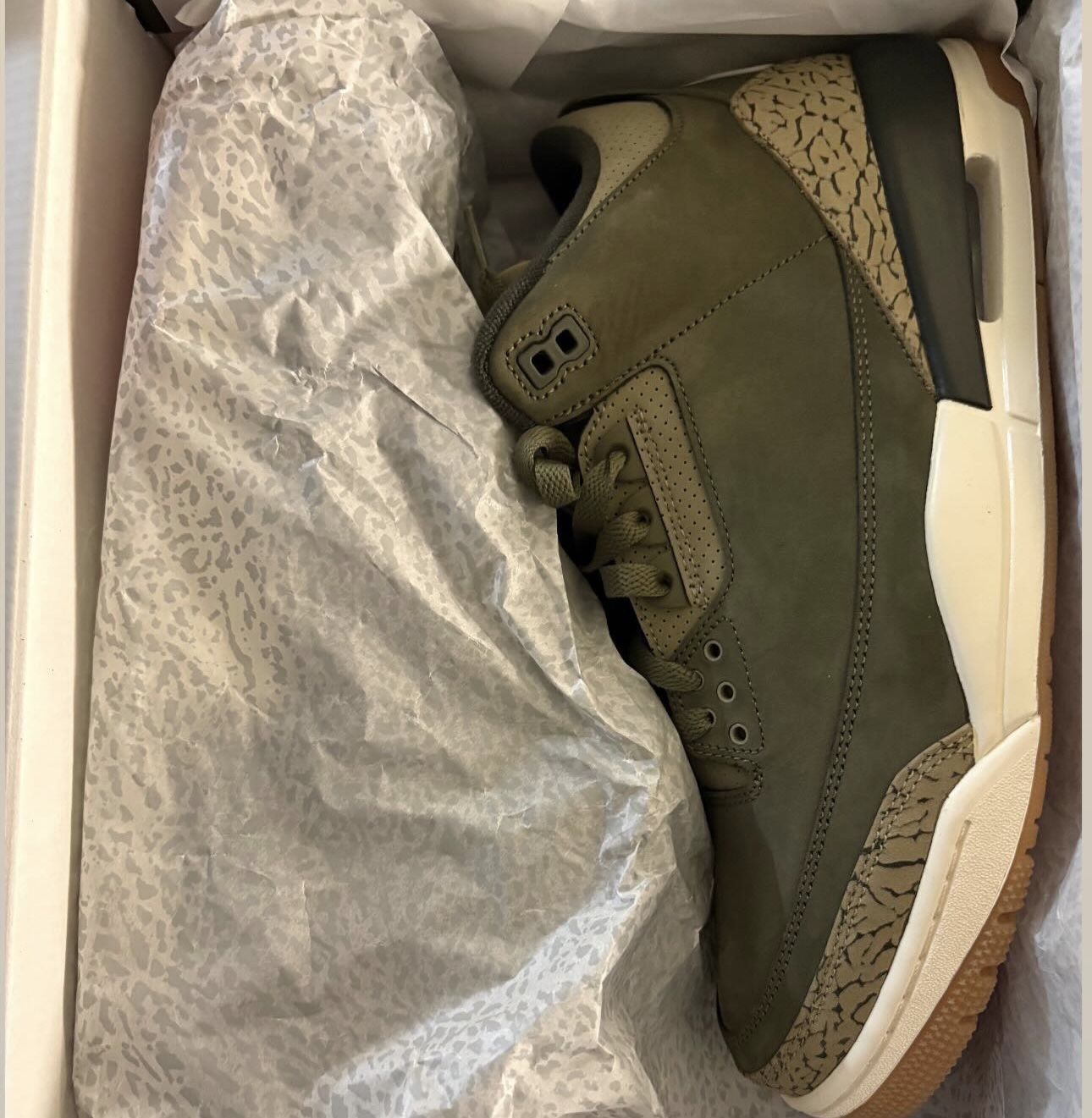 Jordan 3 Family Affair