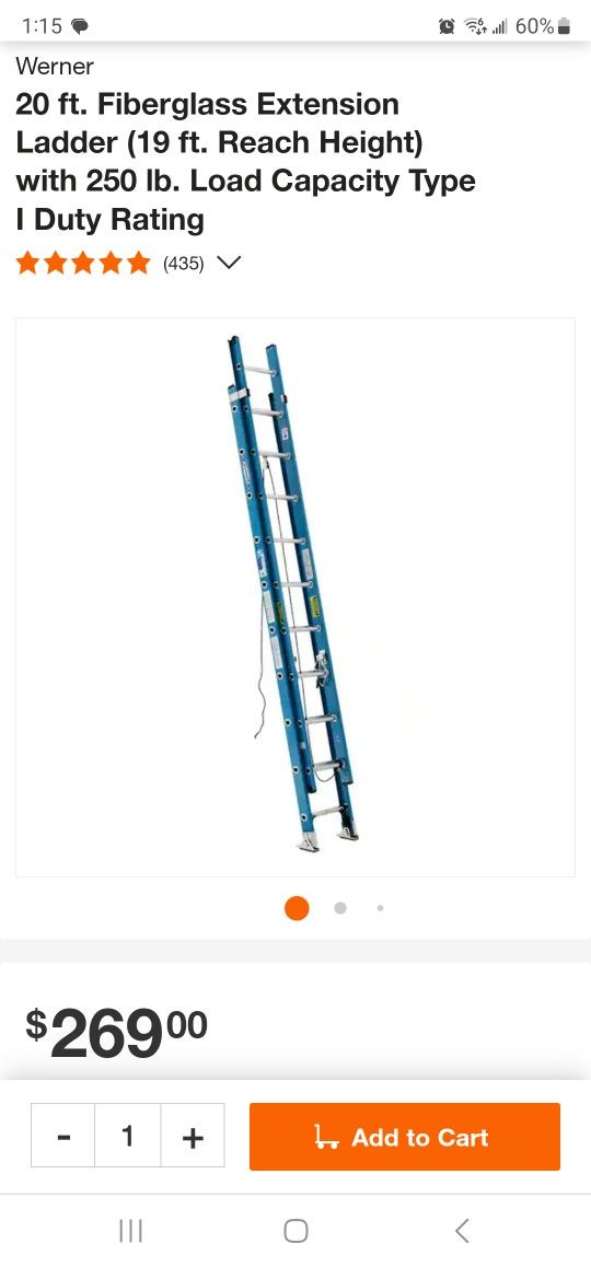 Werner 20ft Ladder