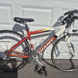 Giant Small Frame Racer