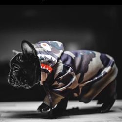 Spark Paw Camo Sweater For Puppy Size M