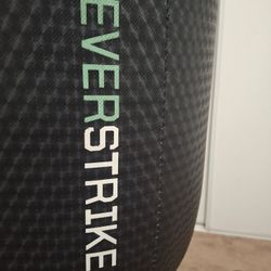 Punching bag Everlast