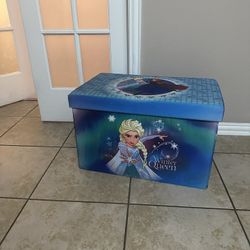 Frozen Storage Box 