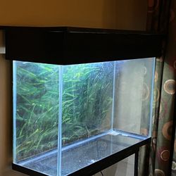 55 Gallon Tank With Stand 