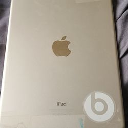 iPad Mini - Broken Screen