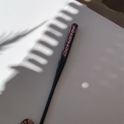 Demarini B52 Softball