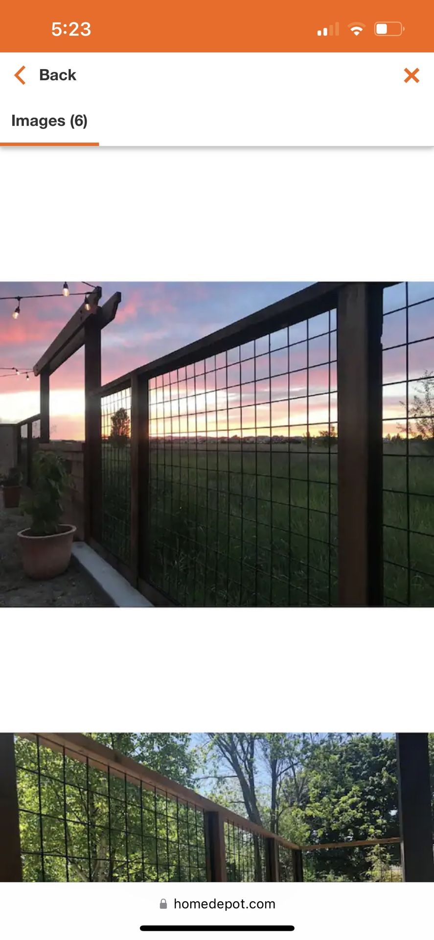 Wild Hog wire fence panel