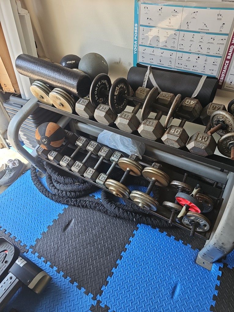 Dumbells And Weights For Sale