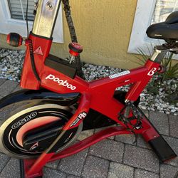 Pooboo C580 Exercise Bike