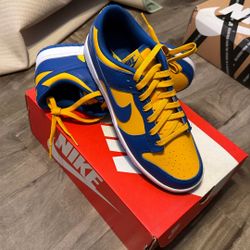 Nike Dunk Low Retro Size 9.5