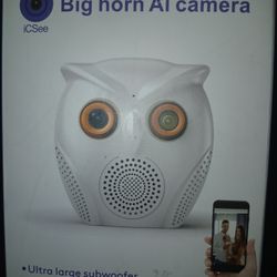 Big Horn AI Owl Camera