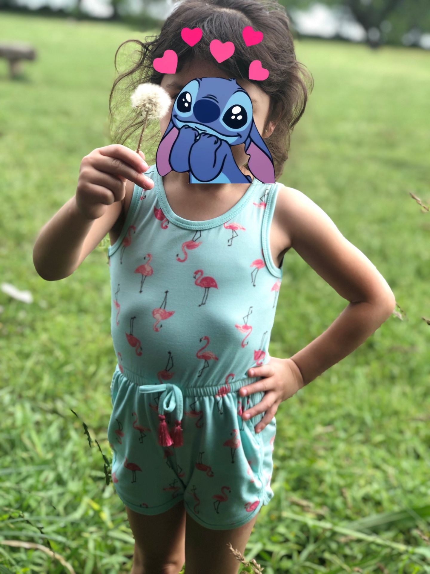 Jessica Simpson flamingo toddler romper