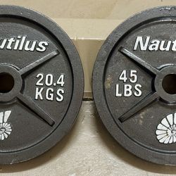 2ct 45lb Weight Plates 16”D
