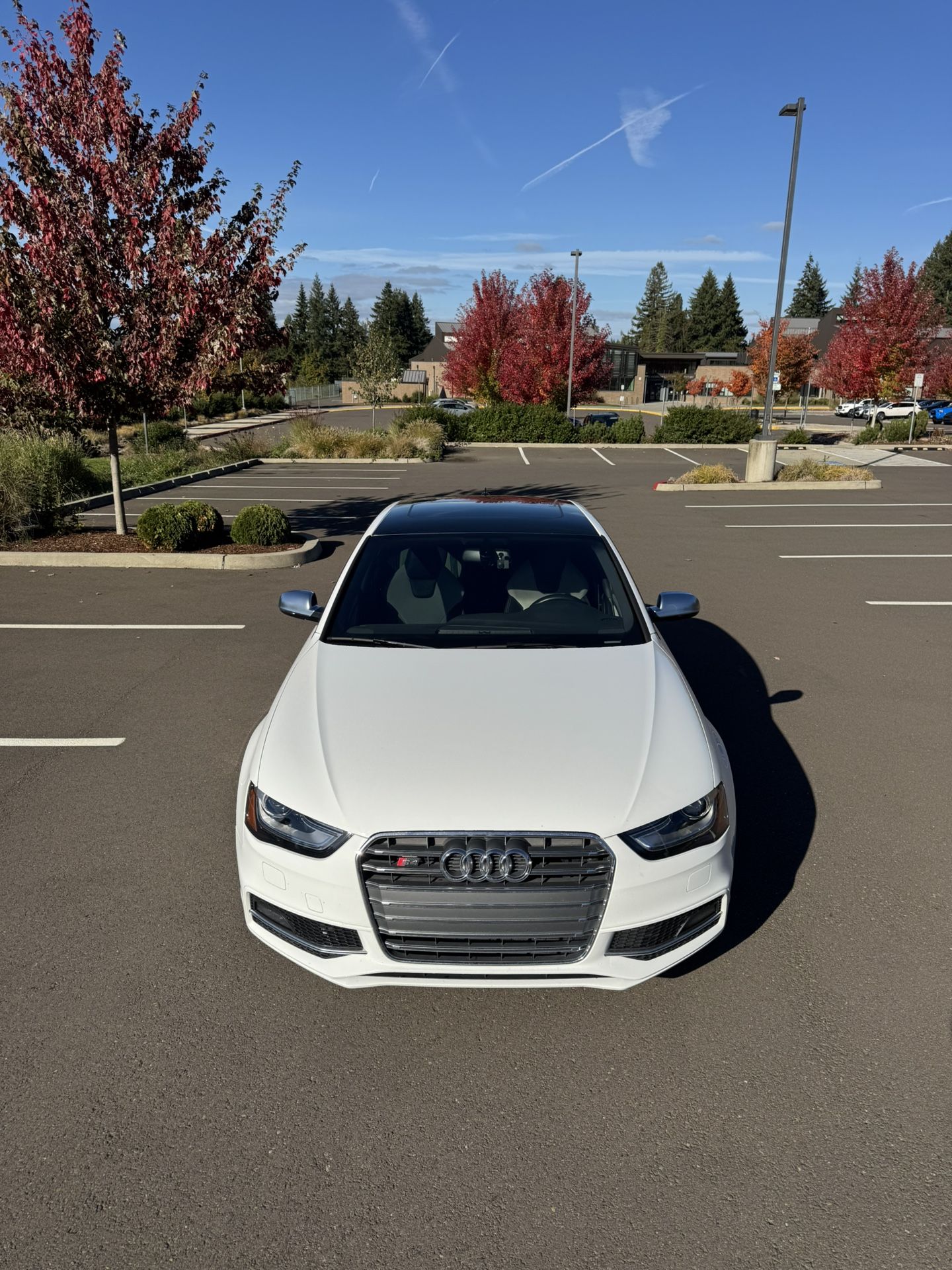 2013 Audi S4