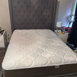 Queen Bed frame And Support Board 