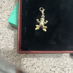 10 Kt Frog