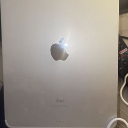 Ipad 11 Pro 