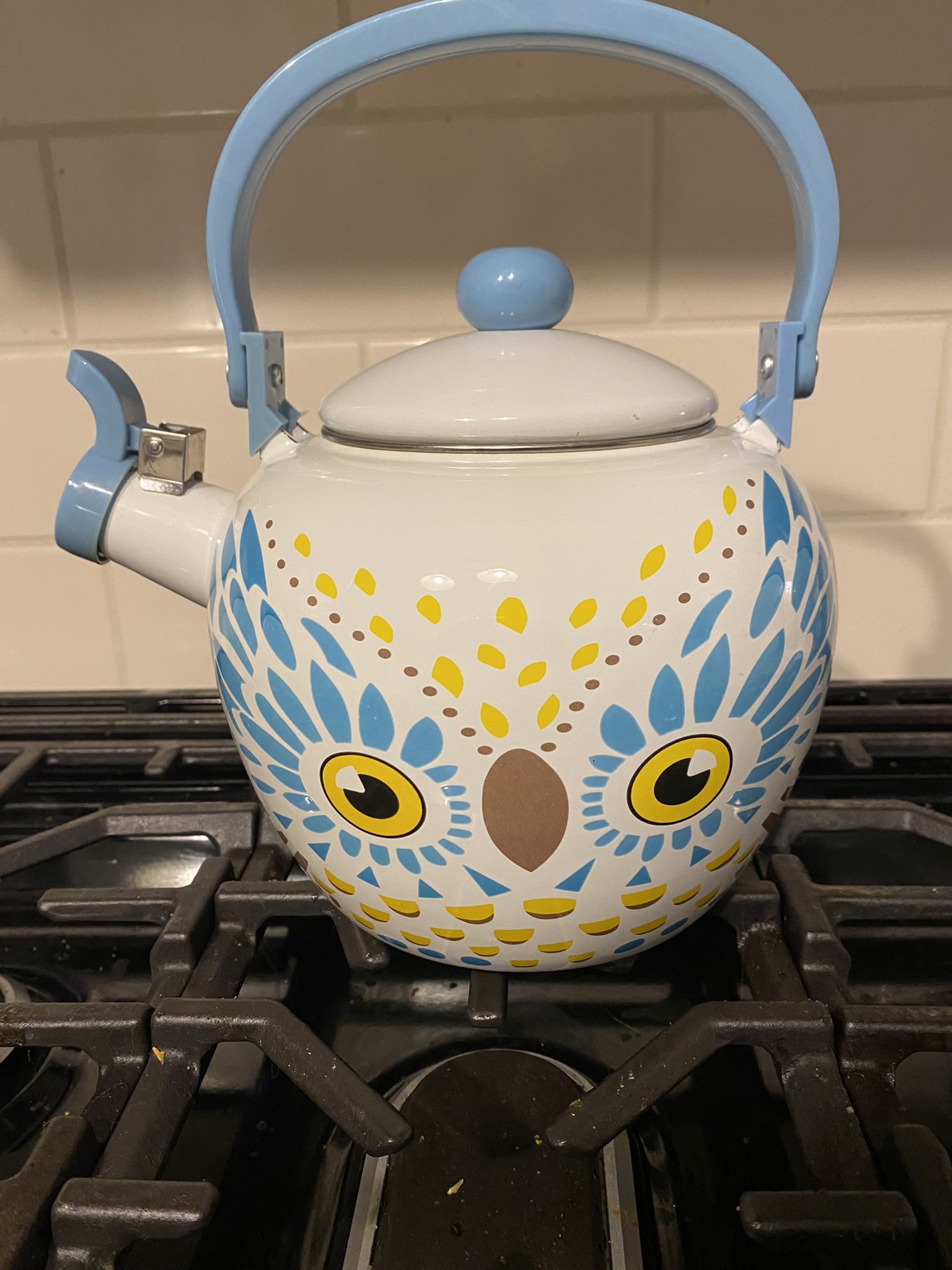 2.1 Quart Enamel-on-Steel Whistling Tea Kettle (Owl)