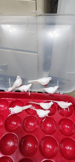 8 Bird Christmas Ornaments 