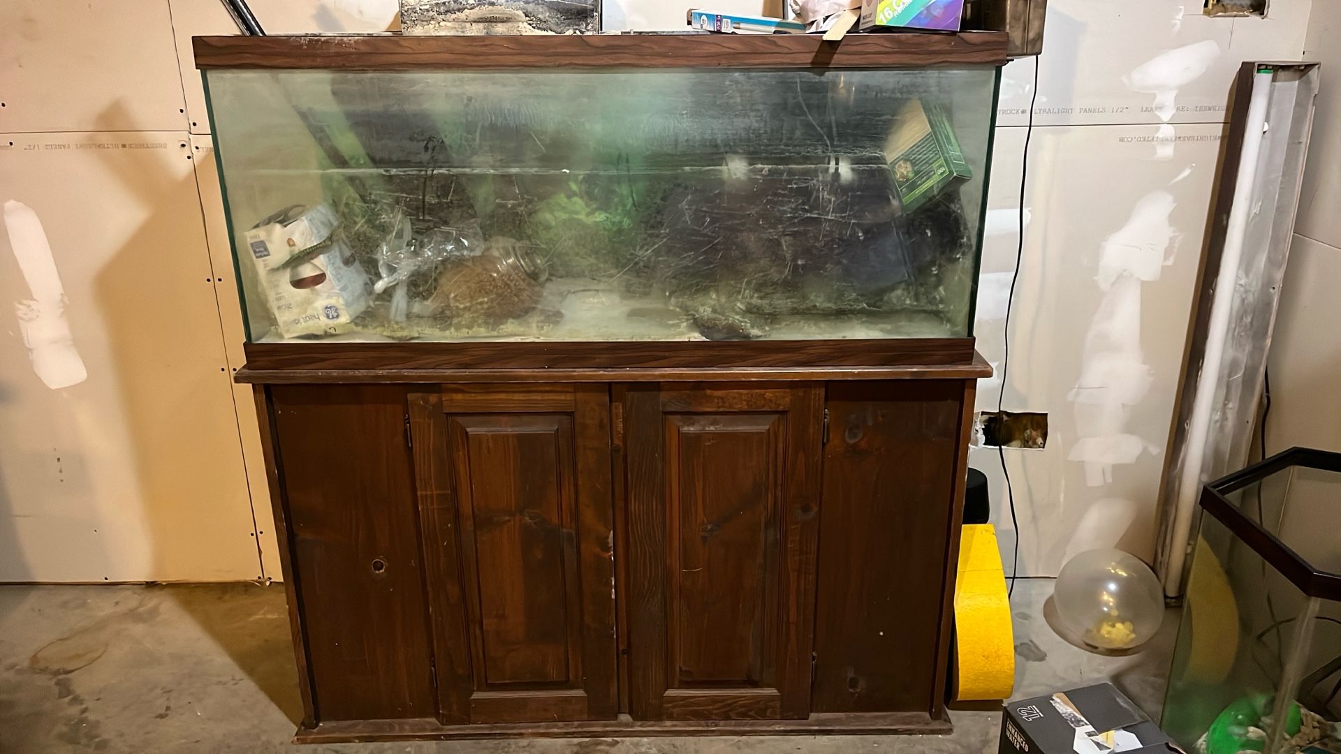 55 or 60 Gallon Fish tank 